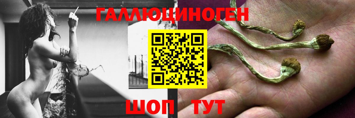 Кисловодск  где можно купить   Вход с VPN  Псилоцибиновые грибы мицелий 